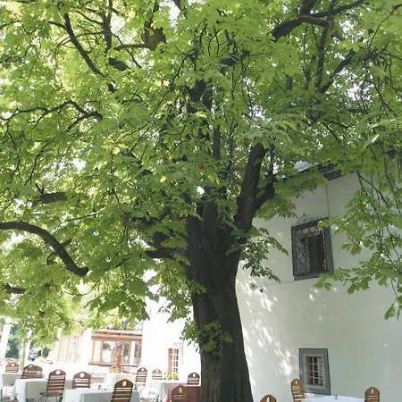 Agathawirt Hotel Bad Goisern