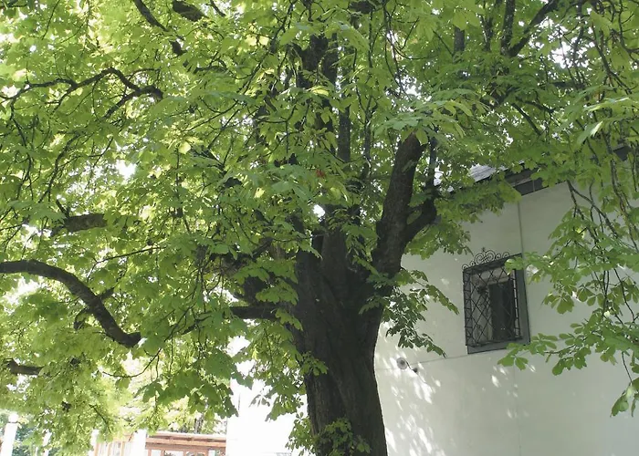 Agathawirt Hotel Bad Goisern